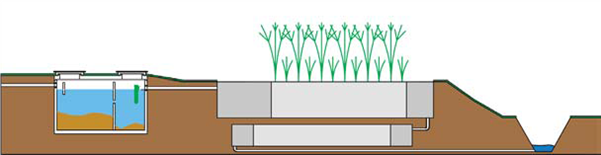 Image2